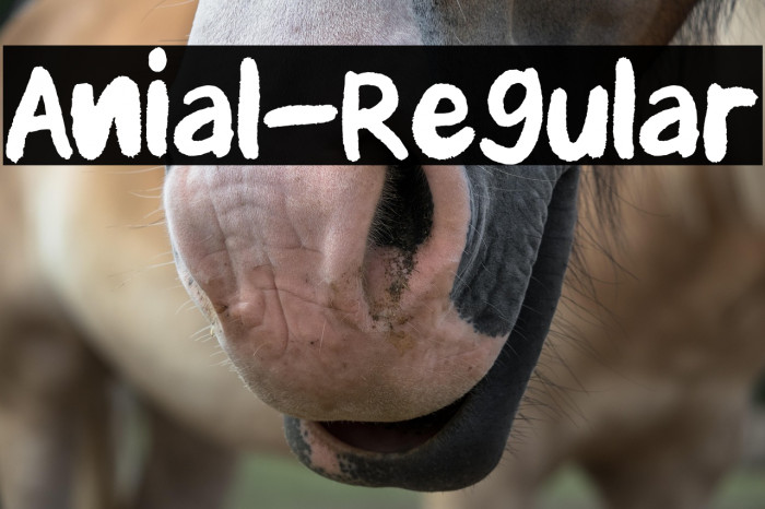 Anial-Regular Example 1