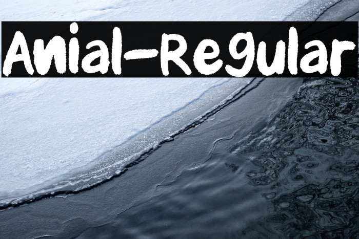 Anial-Regular Example 2