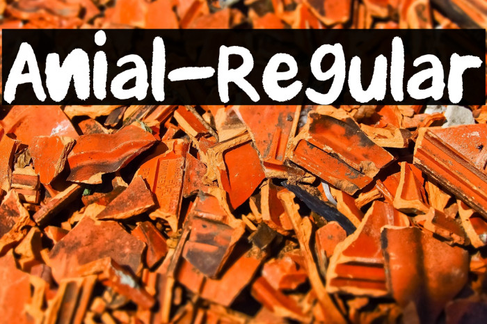 Anial-Regular Example 3