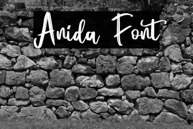 Anida Font examples