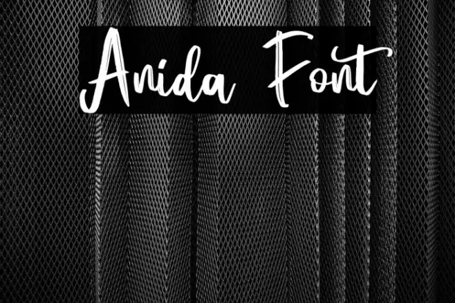 Anida Font examples