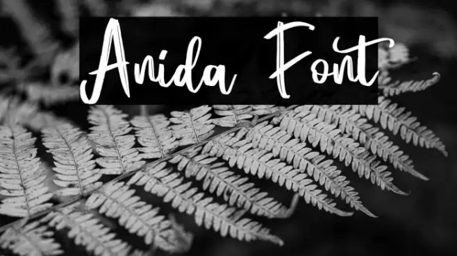 Anida Font examples