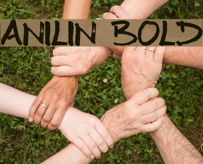 Anilin Bold Example 1