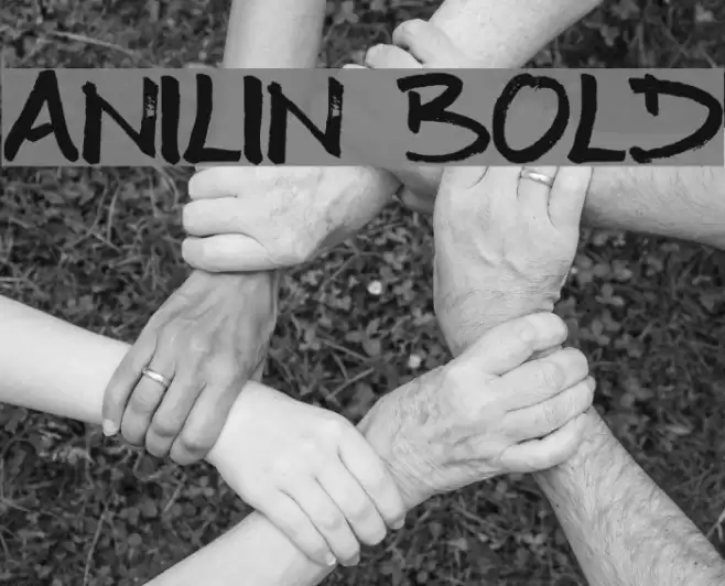 Anilin Bold Font examples