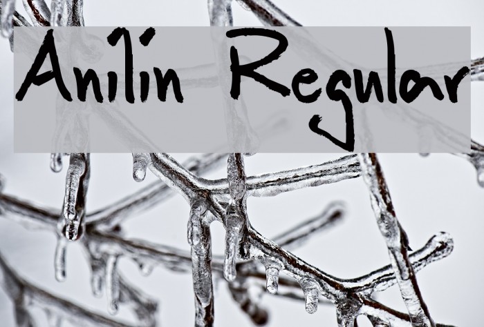Anilin Regular Font examples