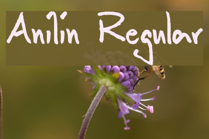 Anilin Regular Font examples