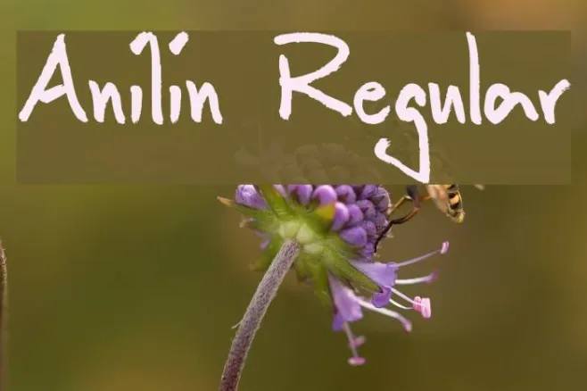 Anilin Regular Example 3