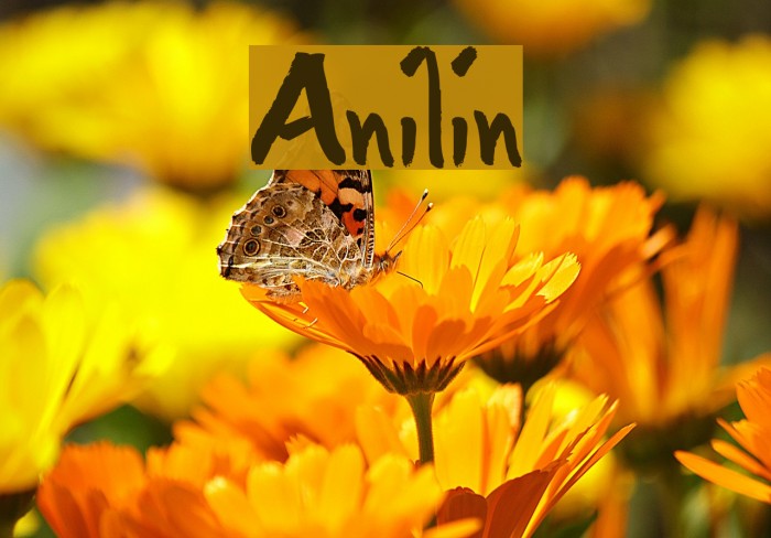 Anilin Font examples