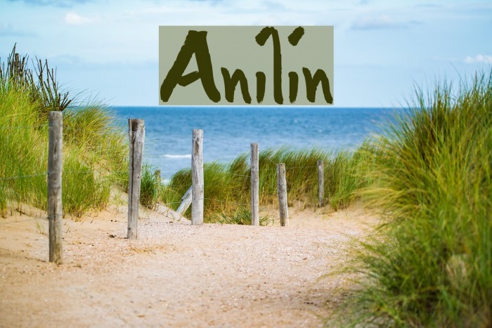 Anilin Font examples