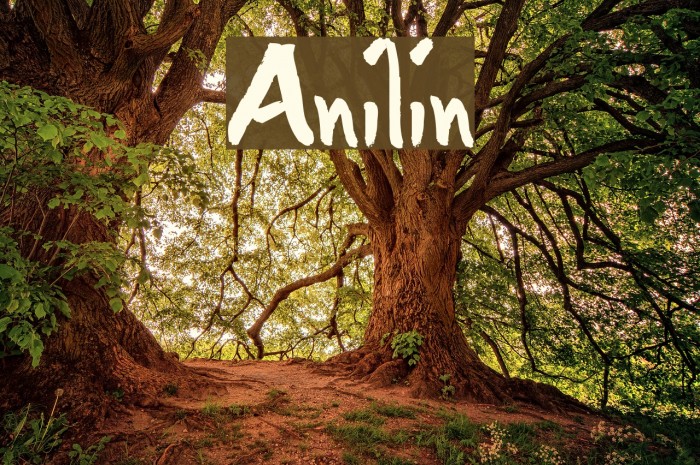 Anilin Font examples