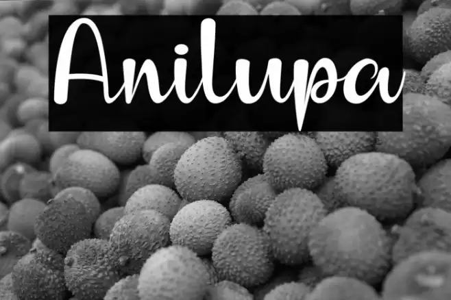 Anilupa Font examples