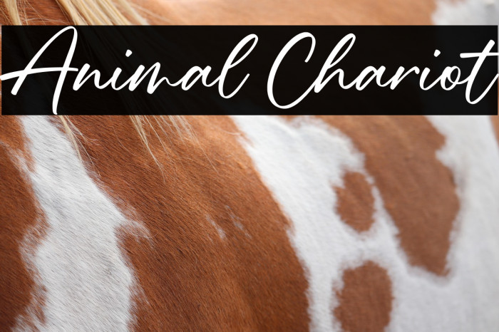 Animal Chariot Example 1