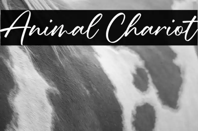 Animal Chariot Шрифта examples