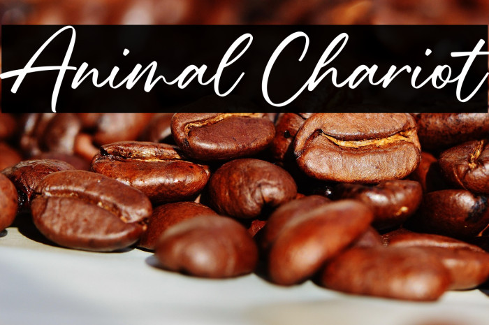 Animal Chariot Example 2