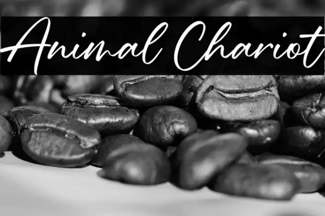 Animal Chariot Шрифта examples