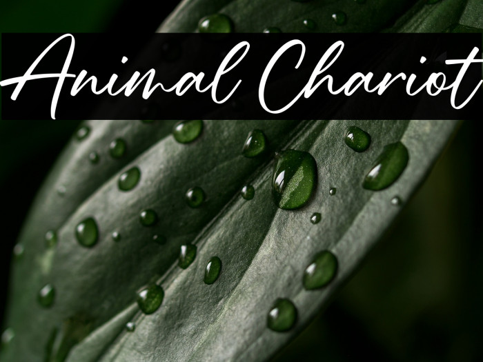 Animal Chariot Example 3