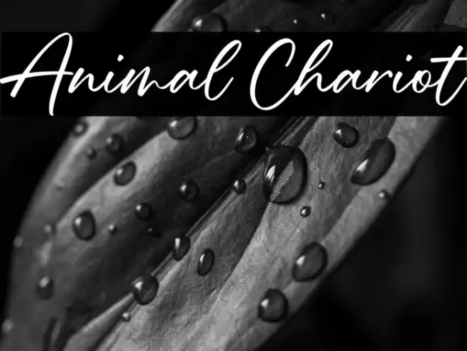 Animal Chariot Шрифта examples