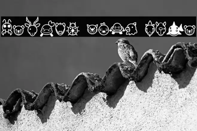 Animal Cute Icon Font examples