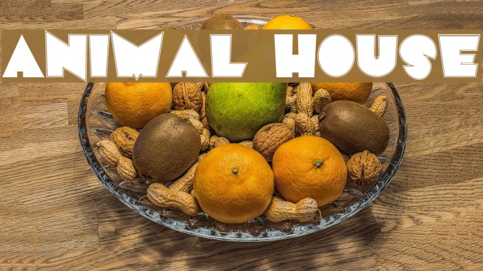 Animal House Font examples