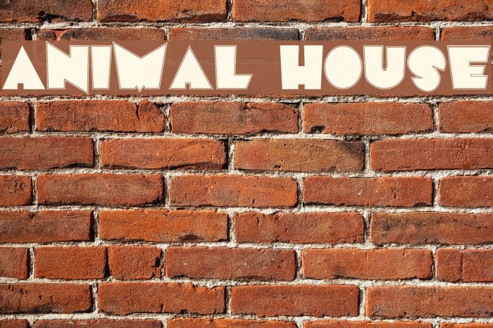 Animal House Font examples