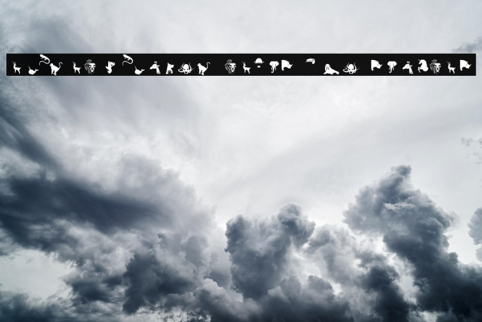 Animal Kingdom Layer Two Regular Example 3