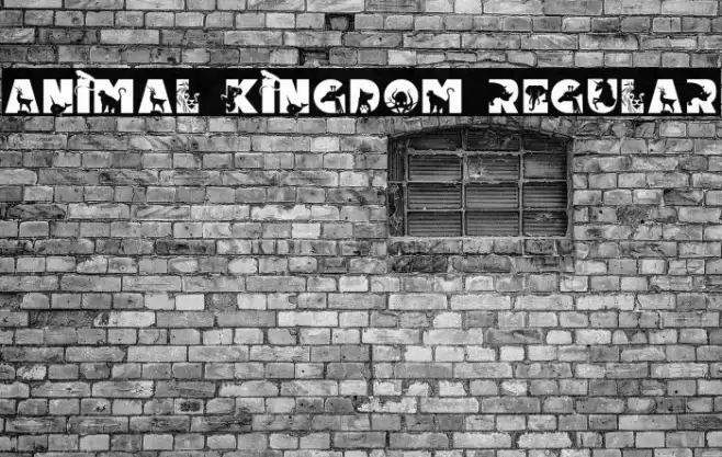 Animal Kingdom Regular Caratteri examples