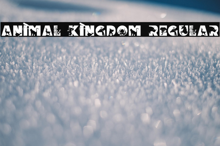 Animal Kingdom Regular Example 3