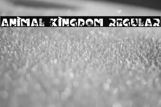 Animal Kingdom Regular Caratteri examples