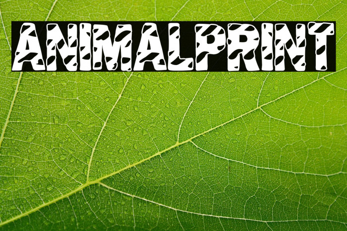 Animal Print Example 2