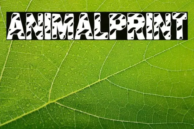 Animal Print Example 2