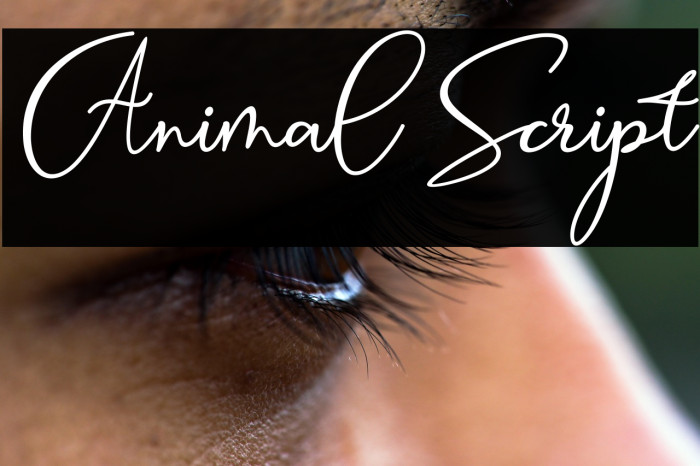 Animal Script Example 1