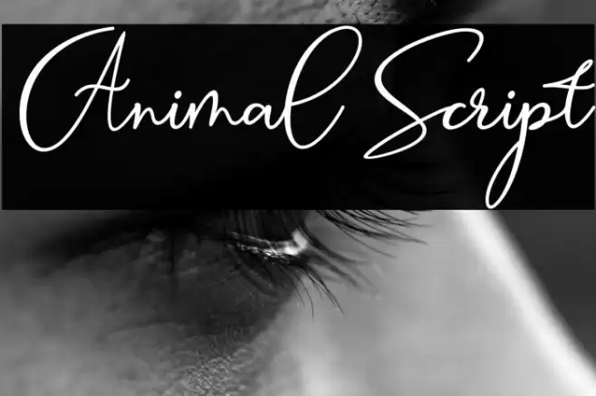 Animal Script Font examples