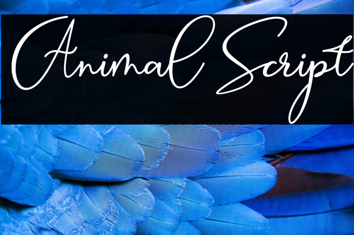 Animal Script Example 3