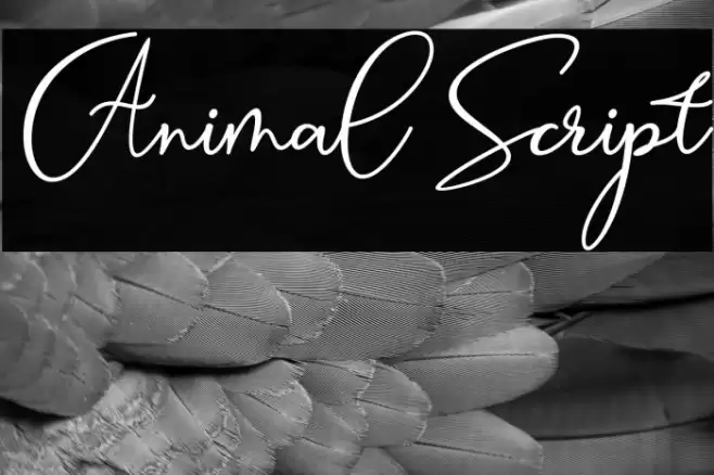 Animal Script Font examples