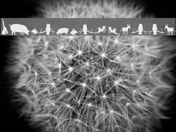 Animal Silhouettes Three Font examples