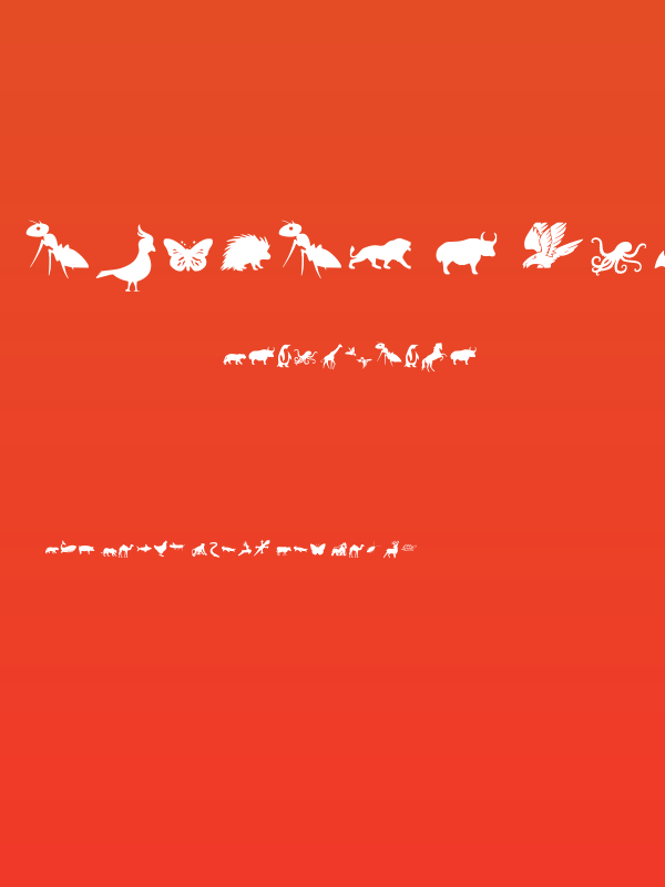 Animal Y Fobt Regular Poster