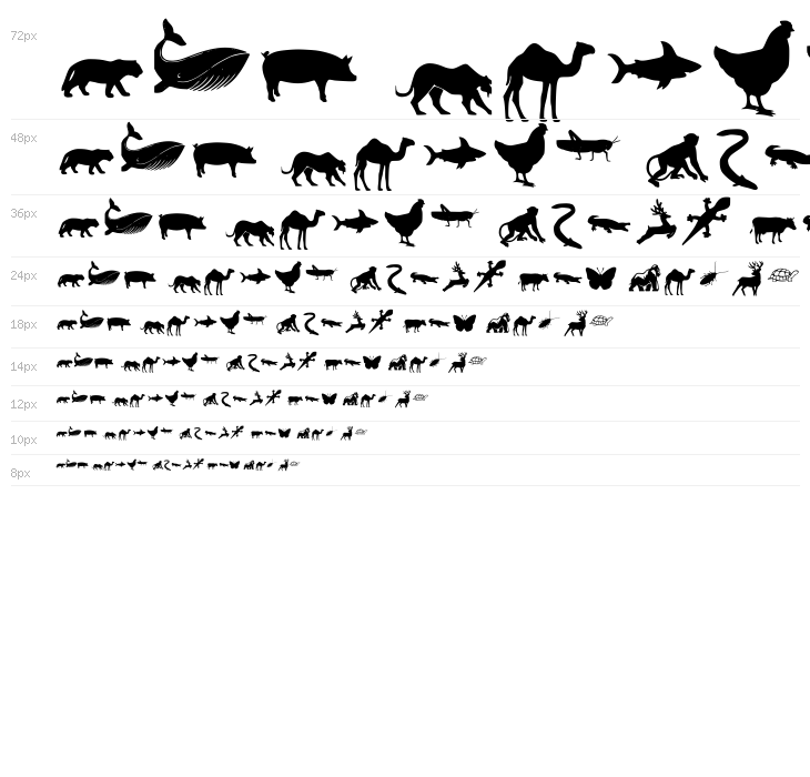 Animal Y Fobt Regular Waterfall