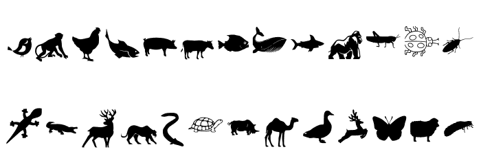 Animal Y Fobt Regular Font LOWERCASE