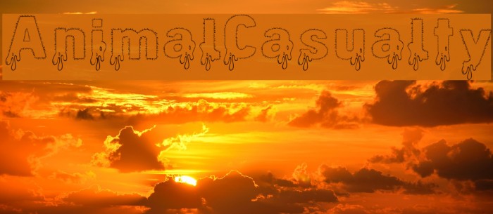 AnimalCasualty Font examples