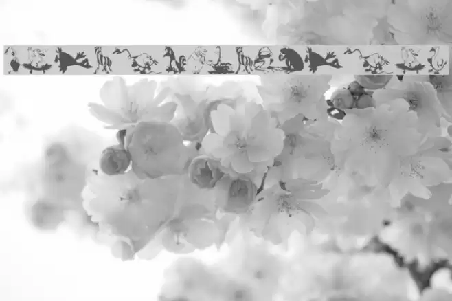 AnimalComedians Font examples