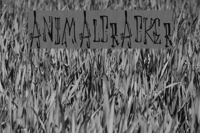 AnimalCracker Font examples