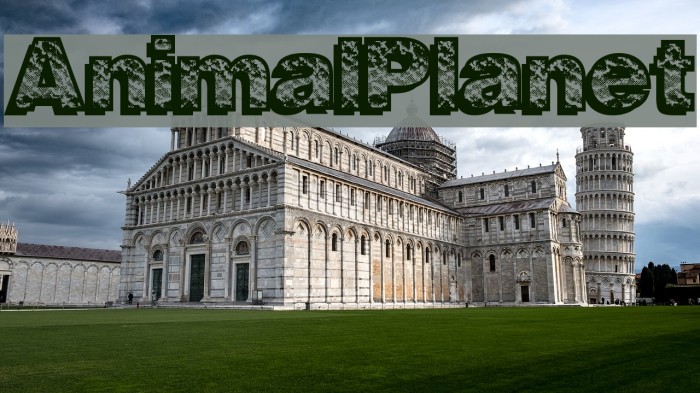 AnimalPlanet Font examples