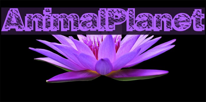 AnimalPlanet Font examples