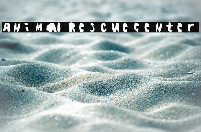 AnimalRescueCenter Example 1