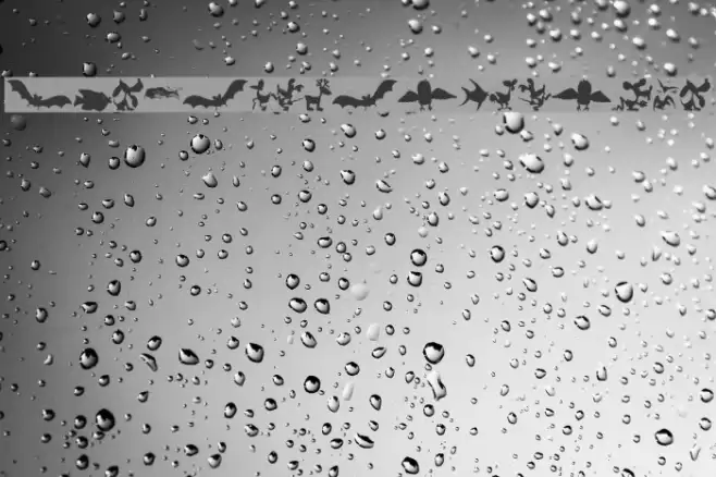 AnimalShadowsDrei Font examples