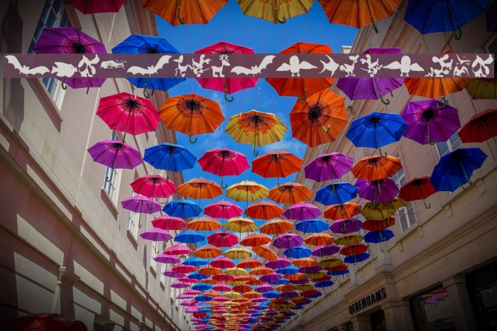 AnimalShadowsDrei Example 3