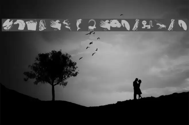 AnimalShadowsTwo Font examples