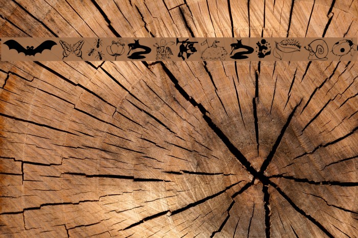 AnimalShadows फ़ॉन्ट examples