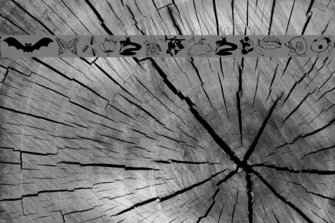 AnimalShadows Font examples