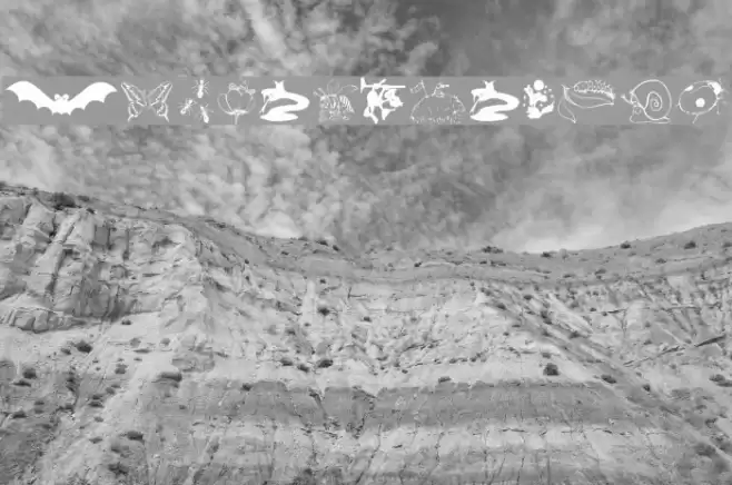 AnimalShadows Font examples